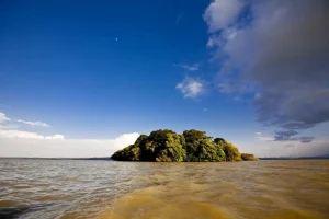 Gallery Thumbnail 2