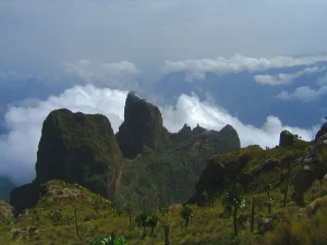 Gallery Thumbnail 2