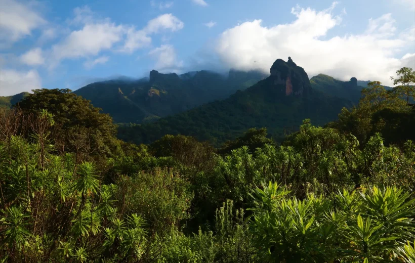 Trekking in the Simien Mountains for 14 Days